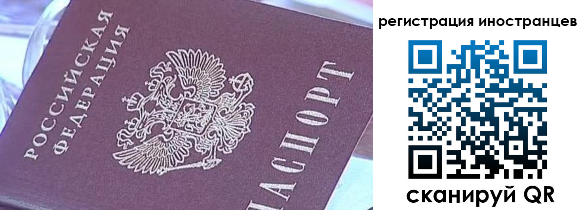 прописка для работы в Каменск-Шахтинском